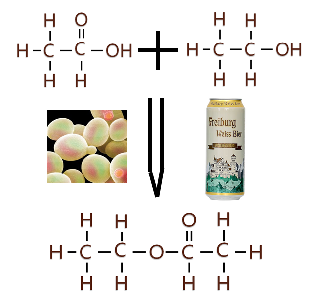 啤酒代理加盟 啤酒代理加盟
